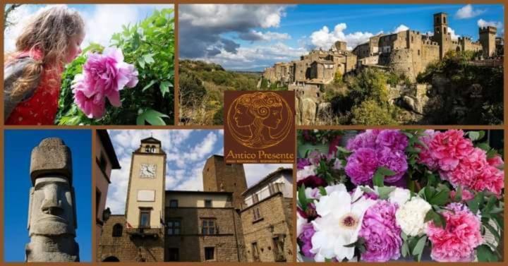Apartmán La Peonia Vitorchiano Exteriér fotografie